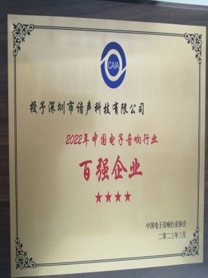 百强企业